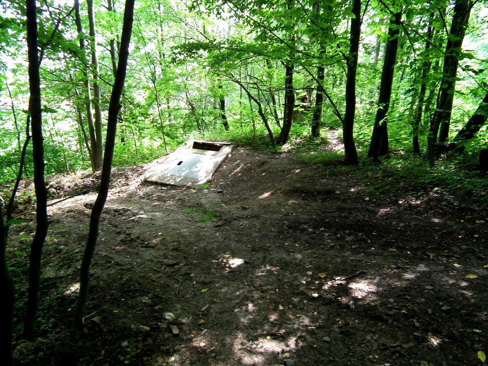 2020-07-18 Cottaer Spitzberg 05