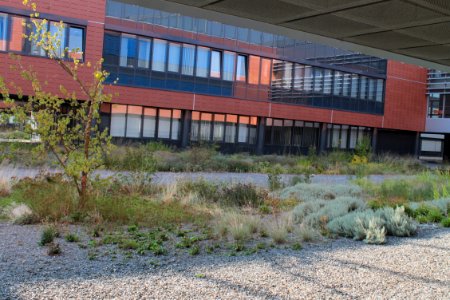 2013Masaryk University Campus 20811