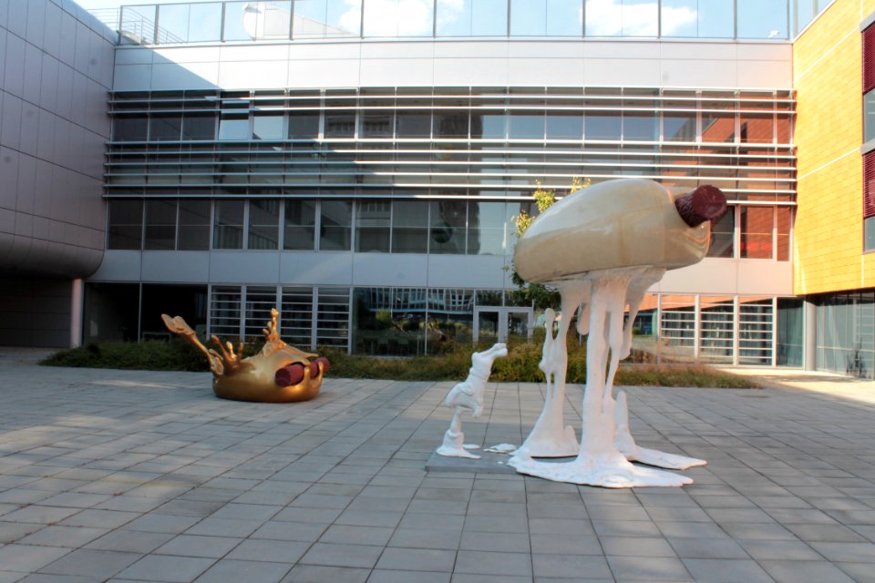 2013Masaryk University Campus 20858