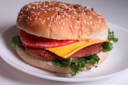 Fast food meat weight gain