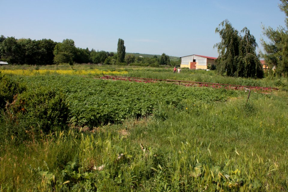 Český pomologický ústav 051