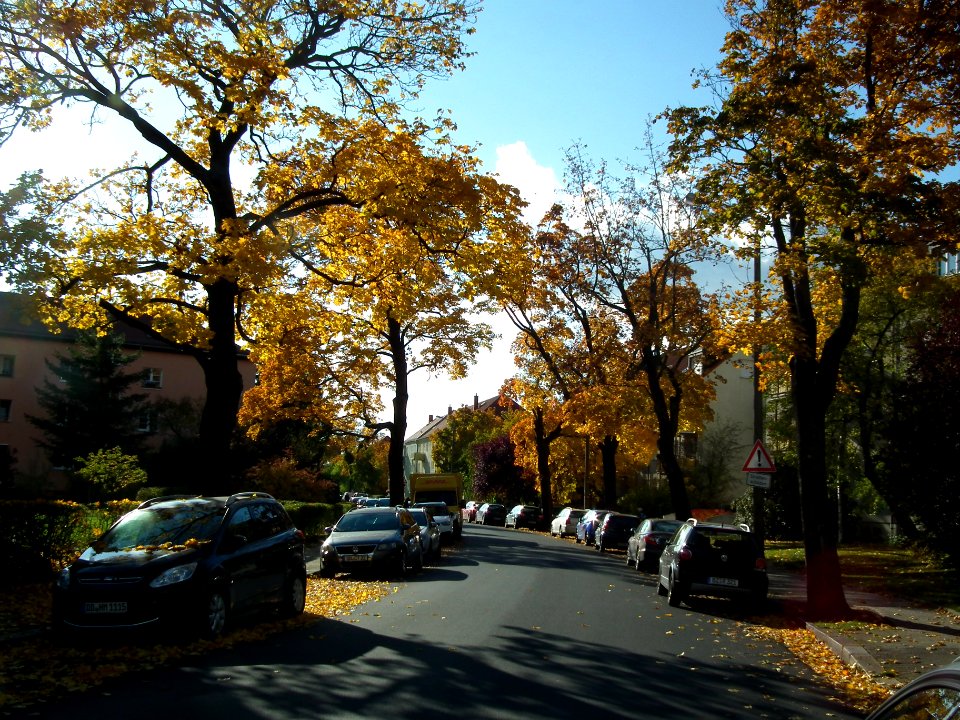 2020-10-24 Marienberger Straße, Dresden 03
