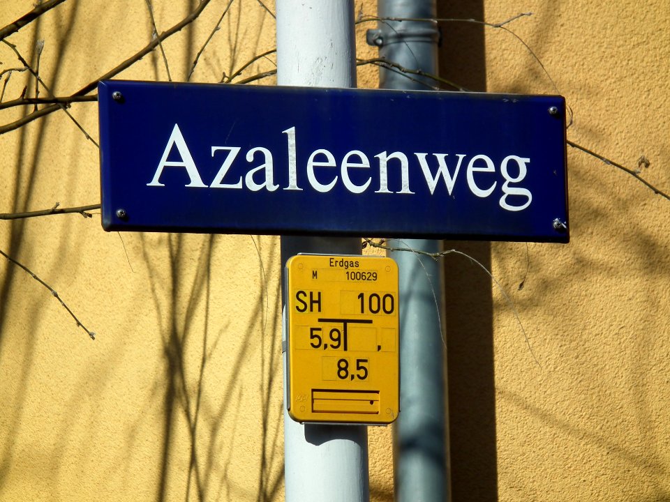 2021-03-06 Azaleenweg, Dresden 01
