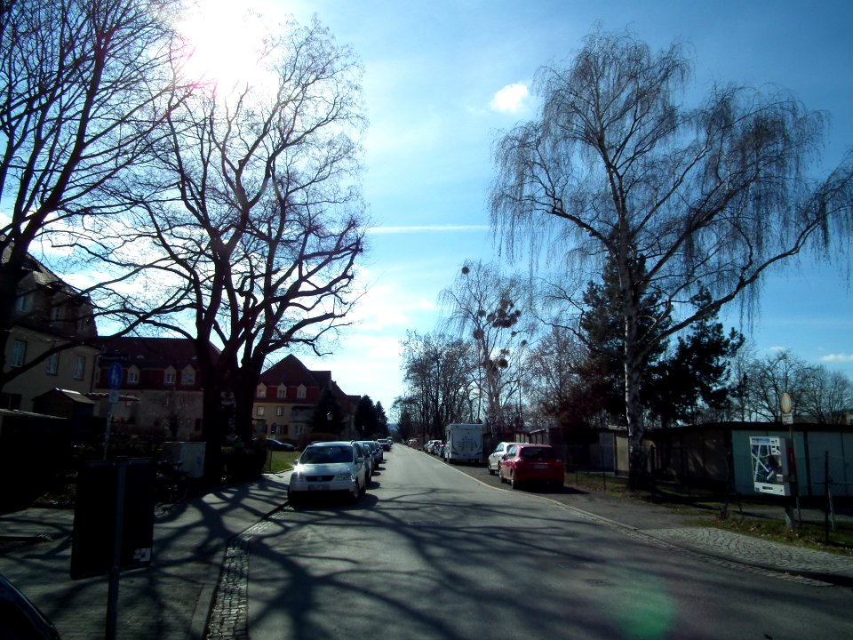 2021-03-06 Tauernstraße, Dresden 04