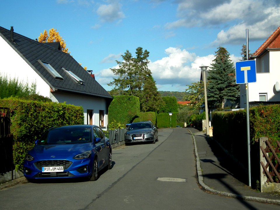 2020-10-24 Paracelsusstraße, Dresden 06