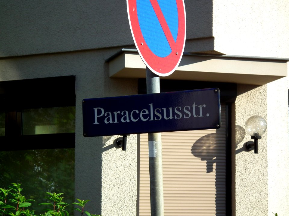 2020-10-24 Paracelsusstraße, Dresden 01
