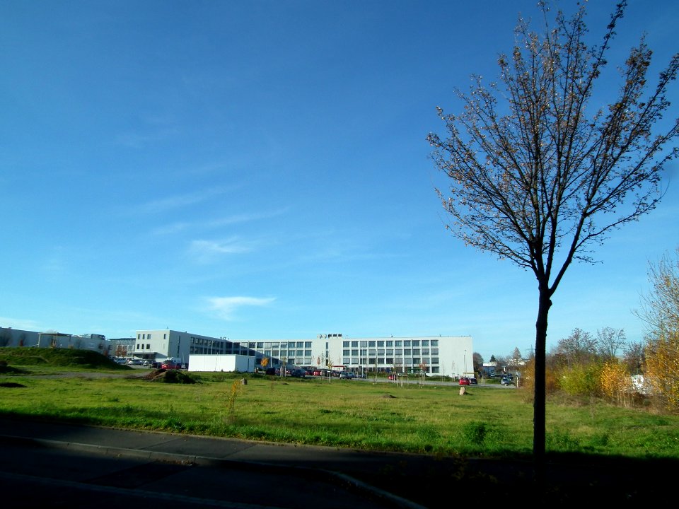 2020-11-24 Pforzheimer Straße, Dresden 05