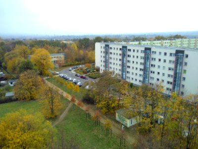 2018-11-03 Bismarckturm, Dresden 08
