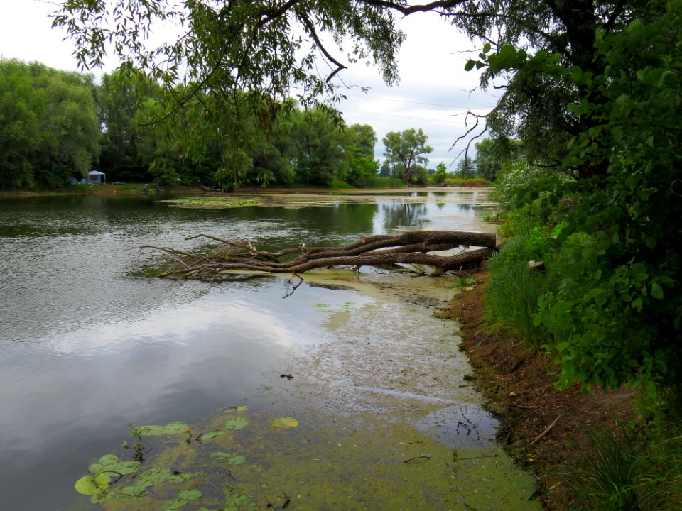 Zazymya Khoma lake4