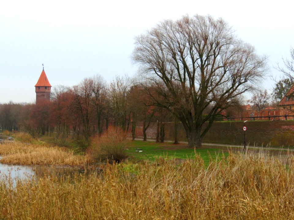 Zamek w Malborku 178