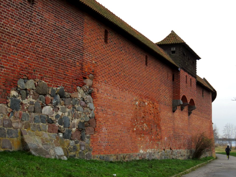 Zamek w Malborku 184