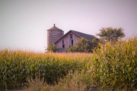 Barn farm home