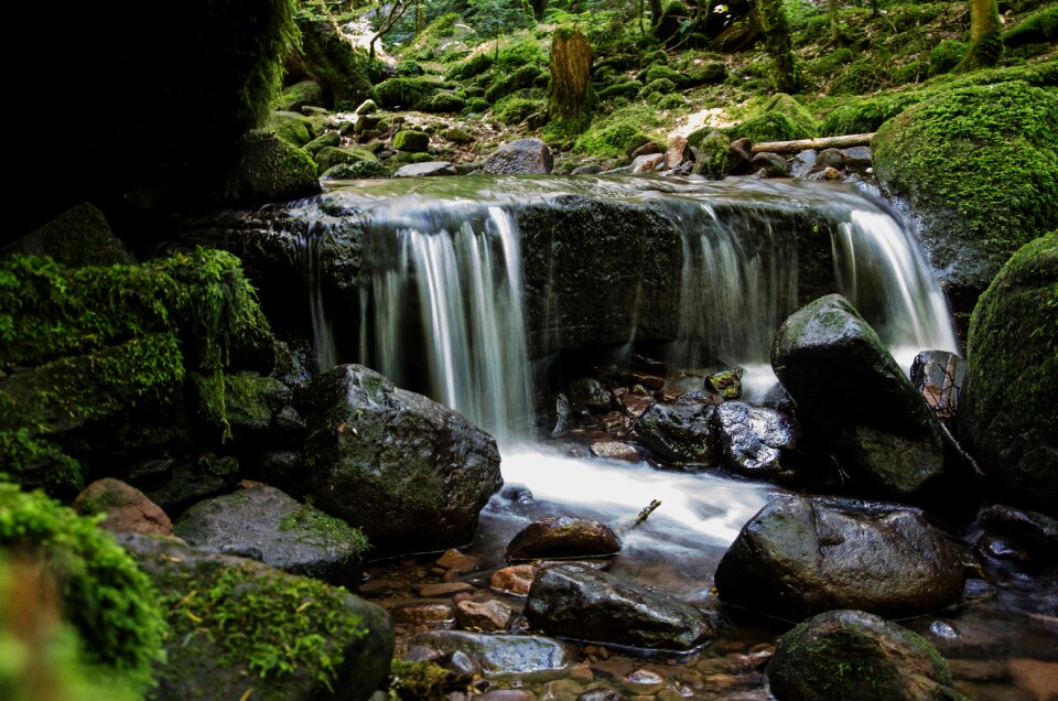 Small waterfall nature bach photo