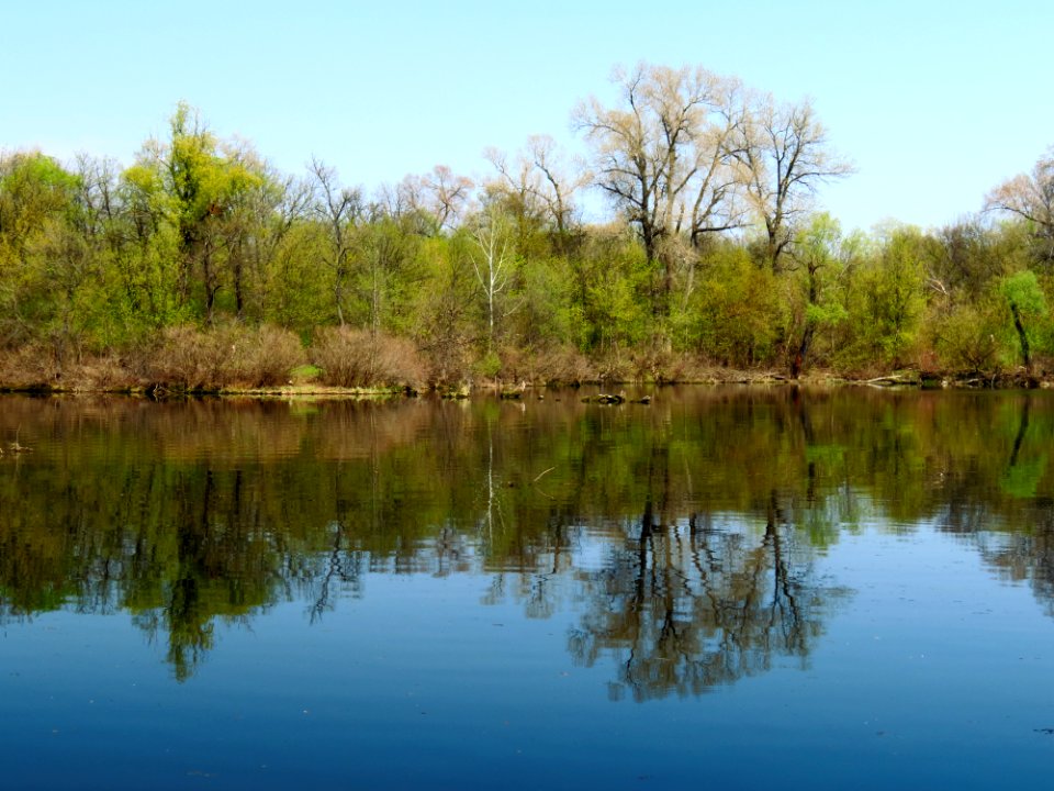 Zatoka Chortoryy2