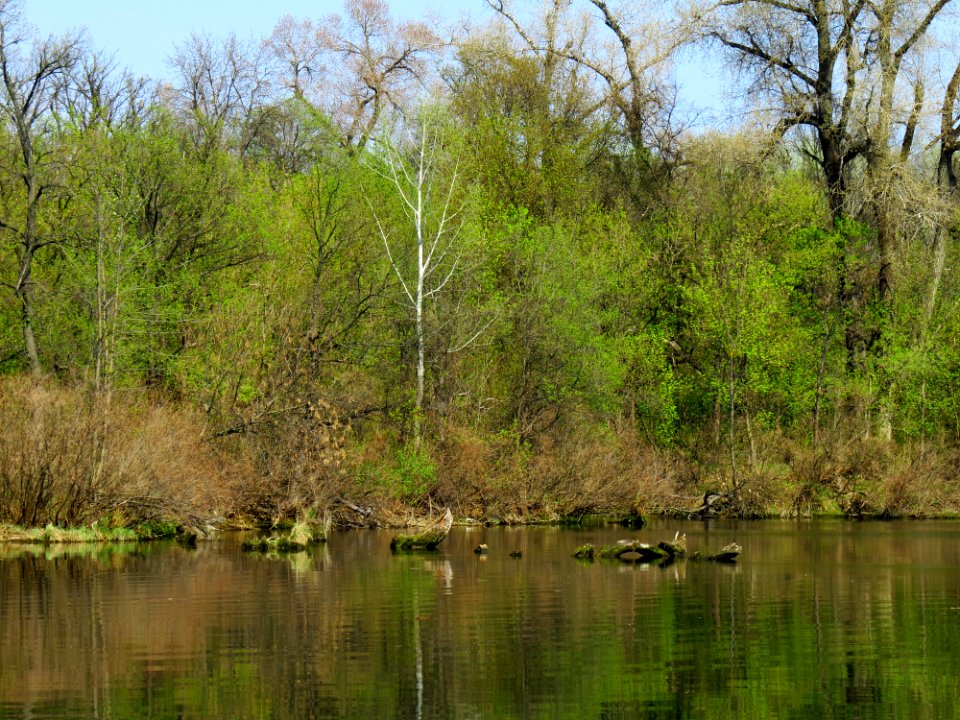 Zatoka Chortoryy6