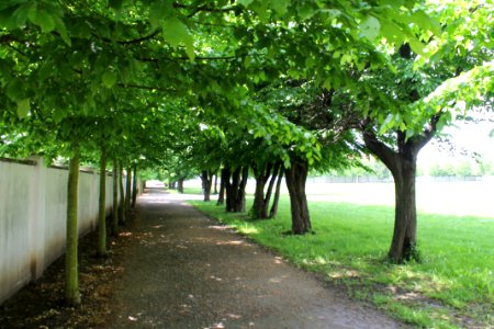 Zámecká zahrada in Vyškov085