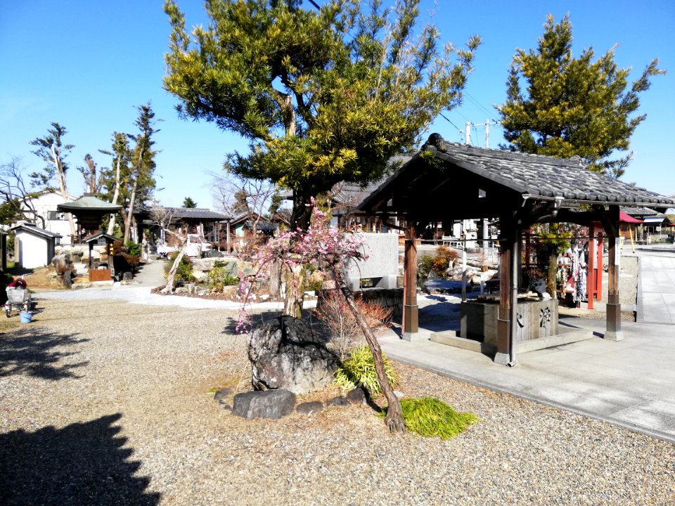 Zuikōzan Osshin-ji Temple 20210311 03