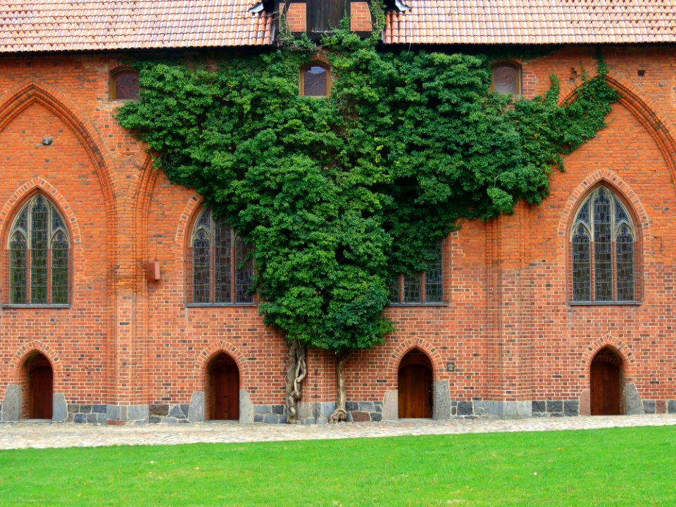 Zamek w Malborku 119