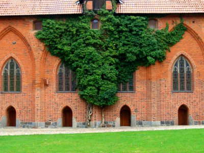 Zamek w Malborku 119