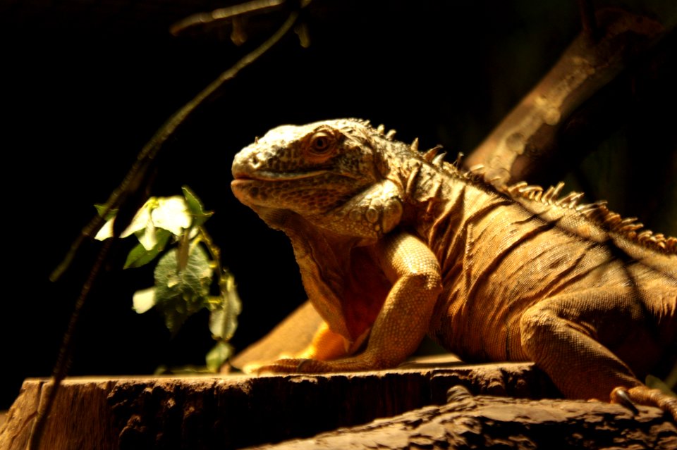 Zoo Brno 315