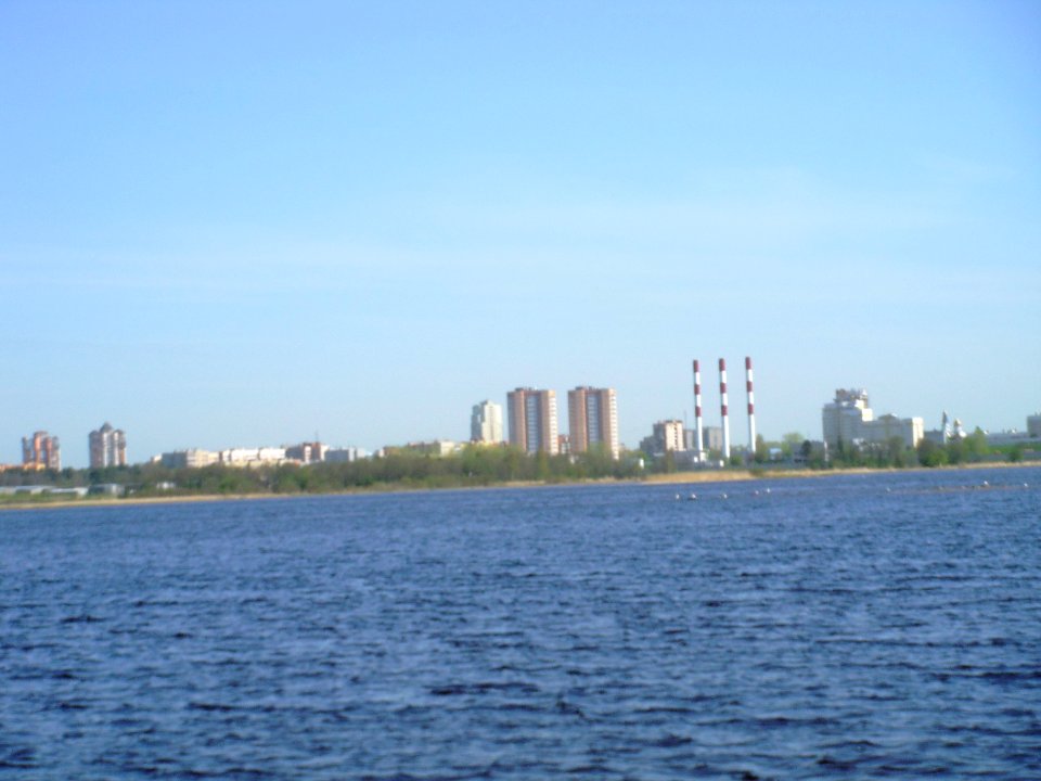 Сестрорецк СПб. В Тарховском лесопарке2