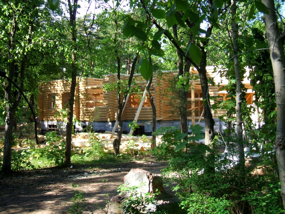 Сестрорецк Курорт ул.М.Горького 20. 2012 год