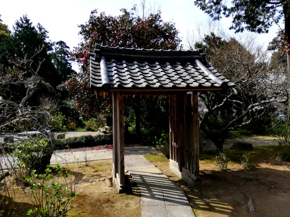 Zuiunzan Honkō-ji Temple 20210320 14