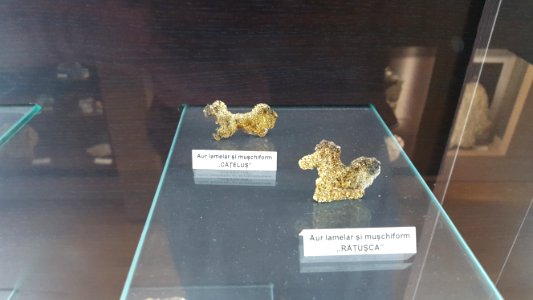 Zoomorphic golden crystals Brad2