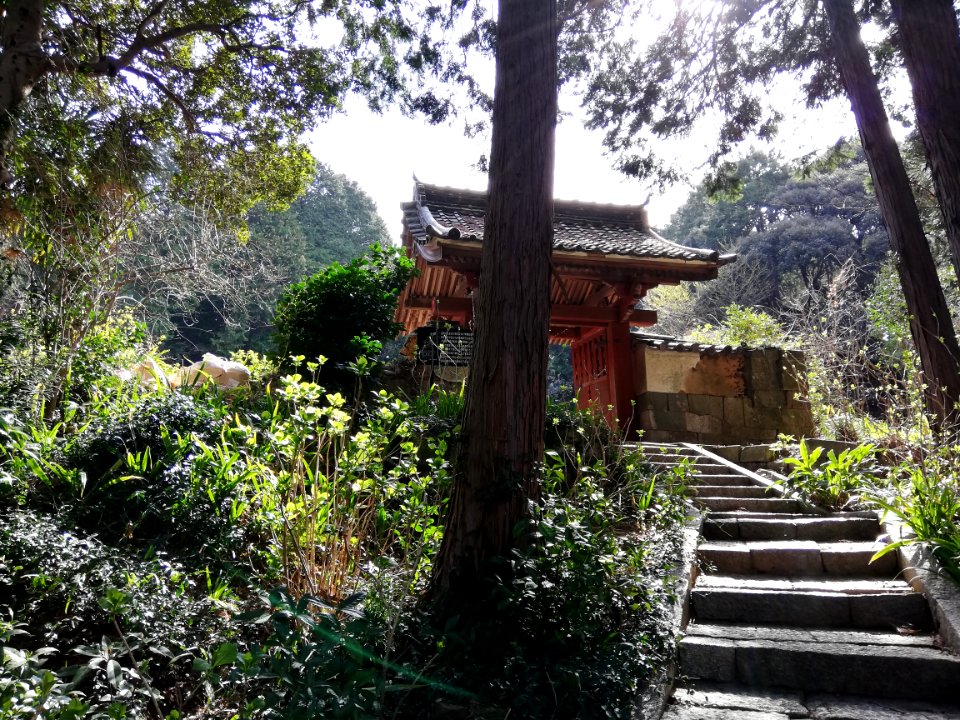 Zuiunzan Honkō-ji Temple 20210320 19