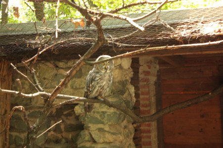 Zoo Brno 800