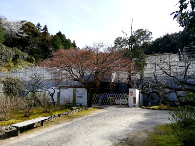 Zuiunzan Honkō-ji Temple 20210320 05
