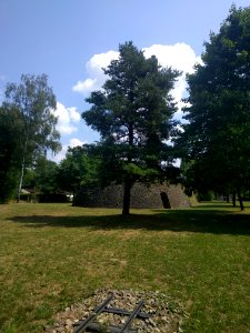 ZiegeleiLichtenow