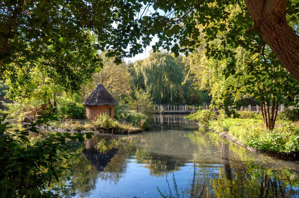Zone humide, parc zoologique de Mulhouse