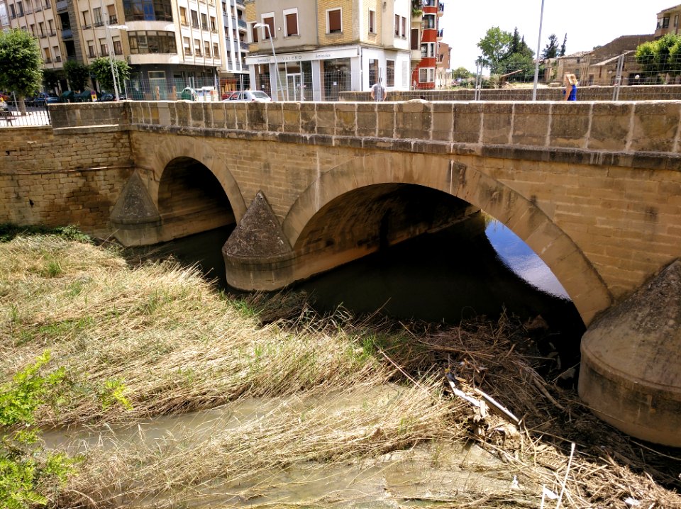 Zidakos ibaia Tafalla herrigunetik