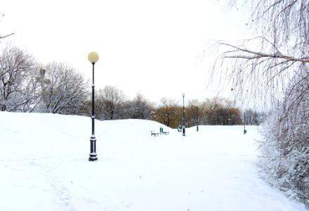 Zniesienie w Przemyślu 05