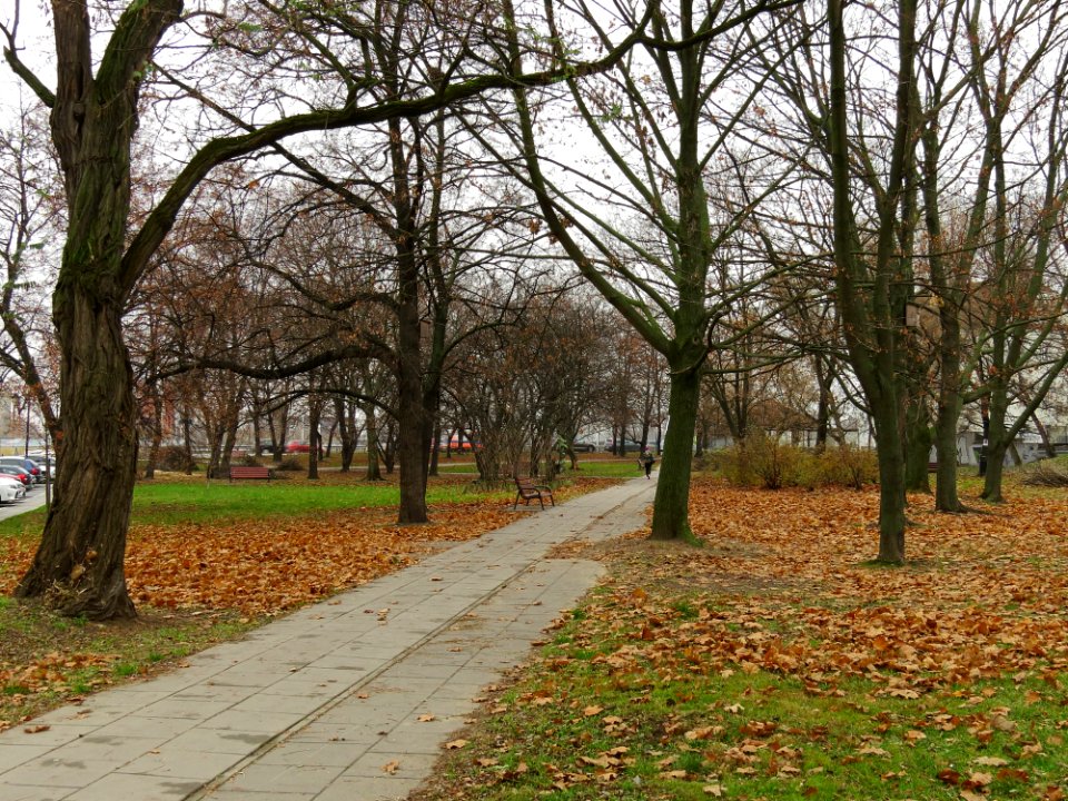 Warszawa skwer Matysiaków 01