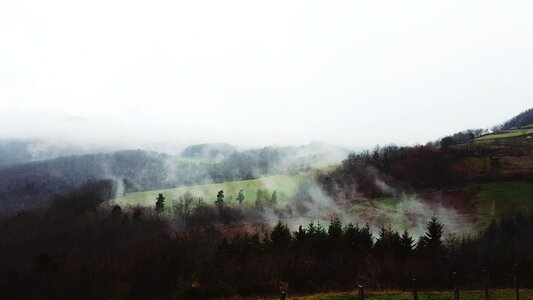 Mountain fog trees