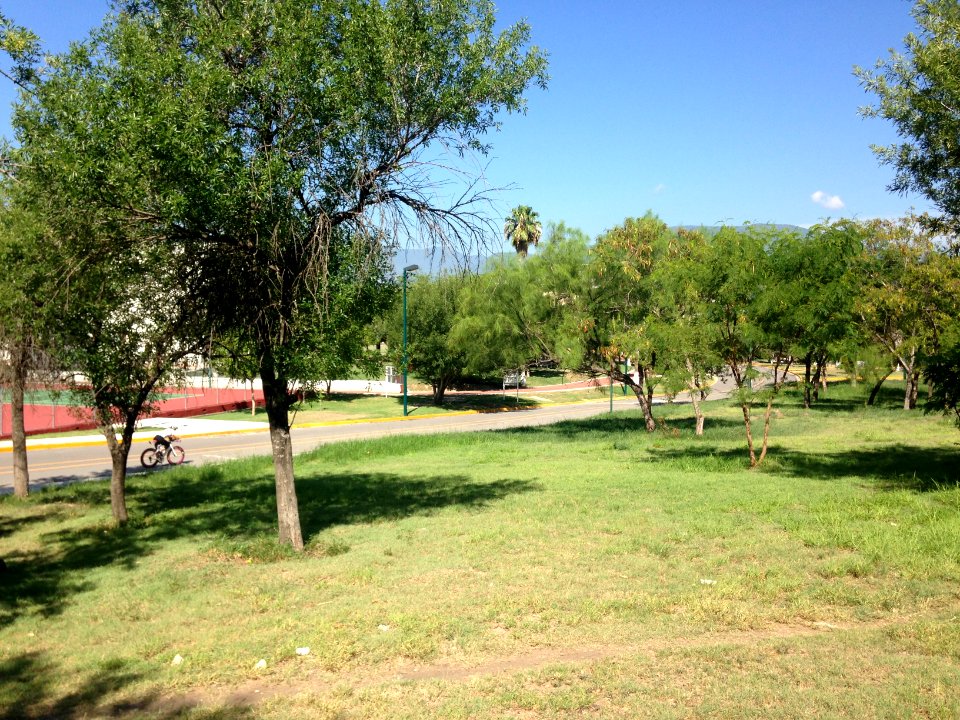 Verdes unidad deportiva
