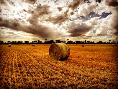 Farm haystack nature