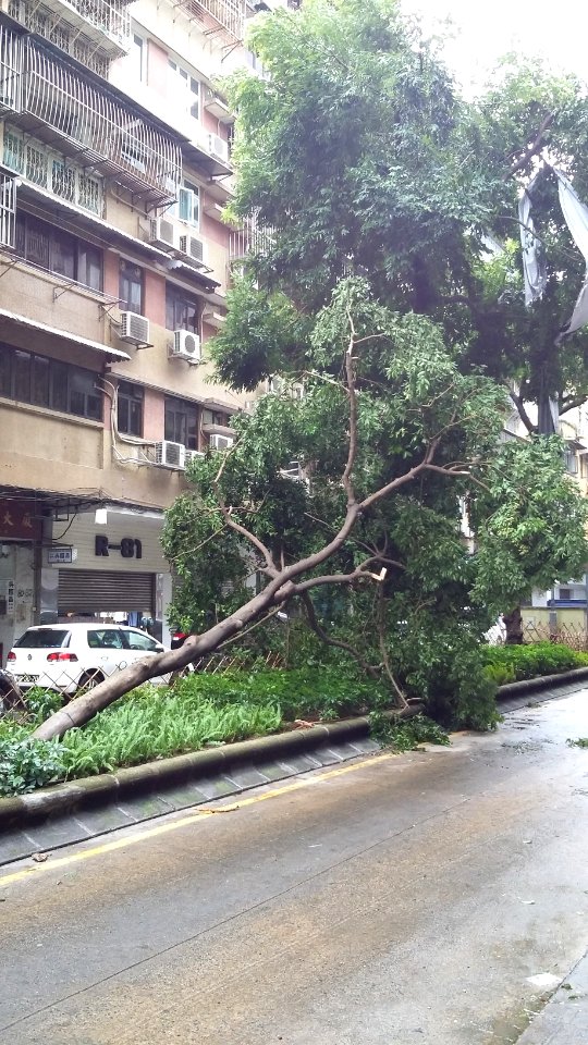 Typhoon-Hato-in-Macao 20170823-160333