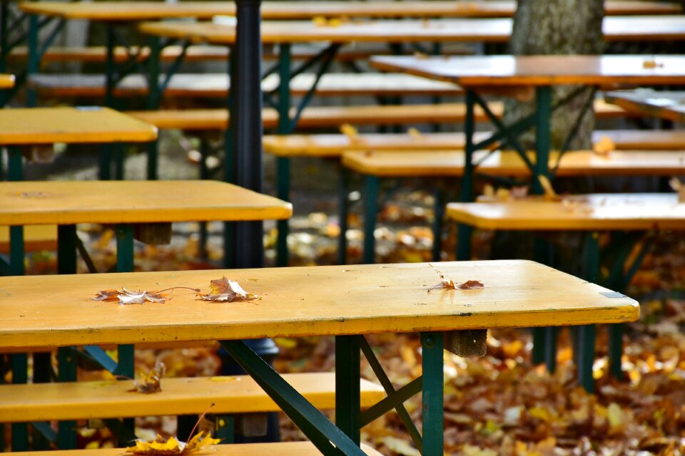 Dining tables leaves color
