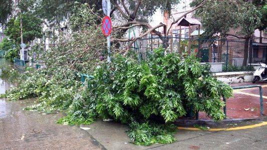 Typhoon-Hato-in-Macao 20170823-162049