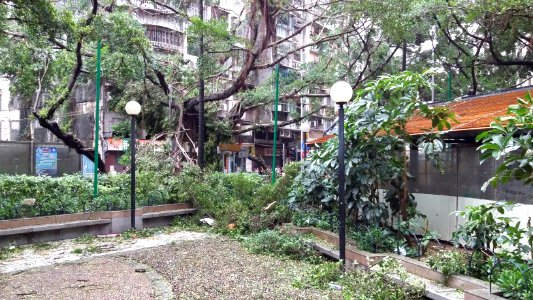 Typhoon-Hato-in-Macao 20170823-150440