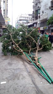 Typhoon-Hato-in-Macao 20170823-170436
