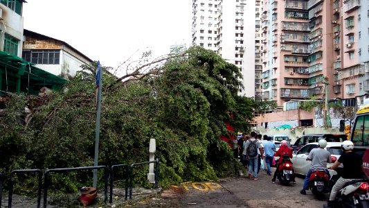 Typhoon-Hato-in-Macao 20170824-084408 photo