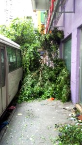 Typhoon-Hato-in-Macao 20170823-162708