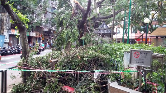 Typhoon-Hato-in-Macao 20170825-083733 photo