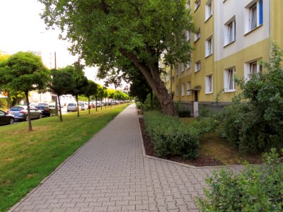 Ul. Olbrachta Warszawa