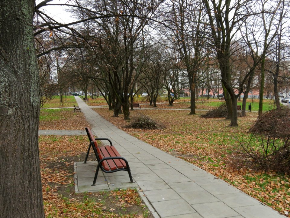 Warszawa skwer Matysiaków 02
