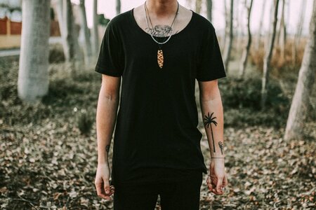 Black fashion trees